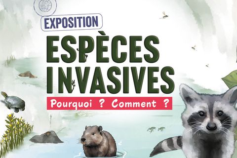 Exposition espèces invasives, Pourquoi ? Comment ? à la Maison de la Nature