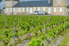 Vue du parc du château d'Ornon, le château et les vignes