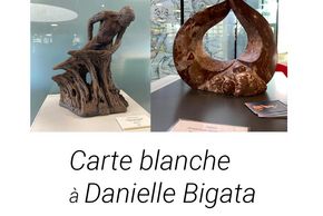 Exposition "CARTE BLANCHE À DANIELLE BIGATA"