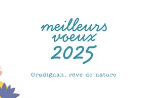 Meilleurs vœux 2025