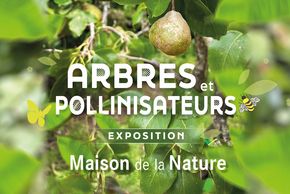 Exposition "Arbres et pollinisateurs"